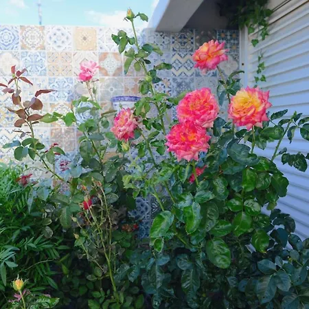 Appartement Romantico Caniço