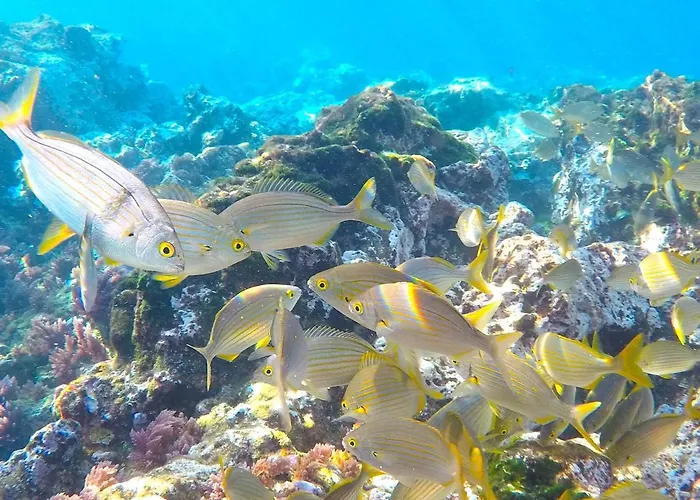 アパート Romantico *